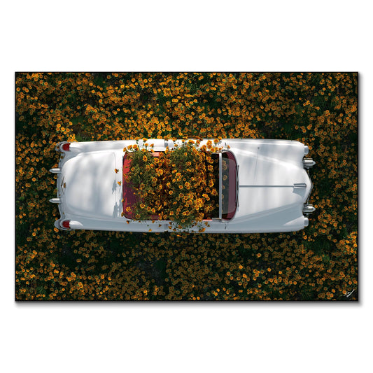 Yellow Flowers