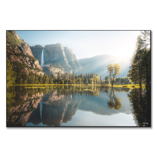 Yosemite Morning