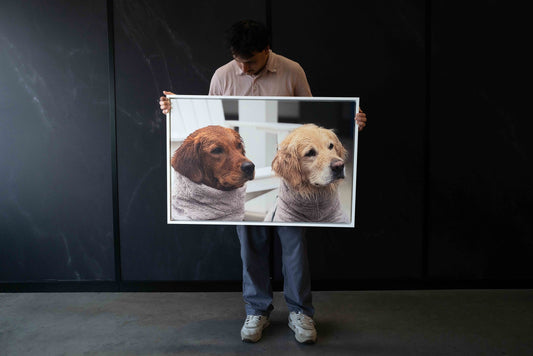 From Camera Roll to Custom Wall Art: Make Your Pet the Statement