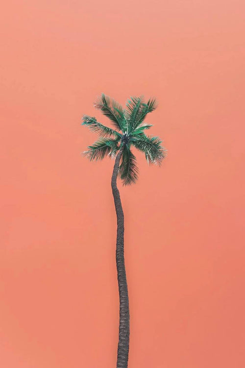 Hawaii