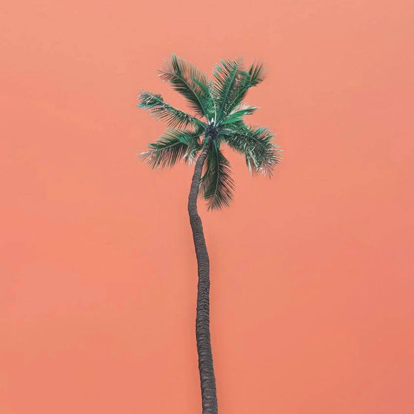 Hawaii