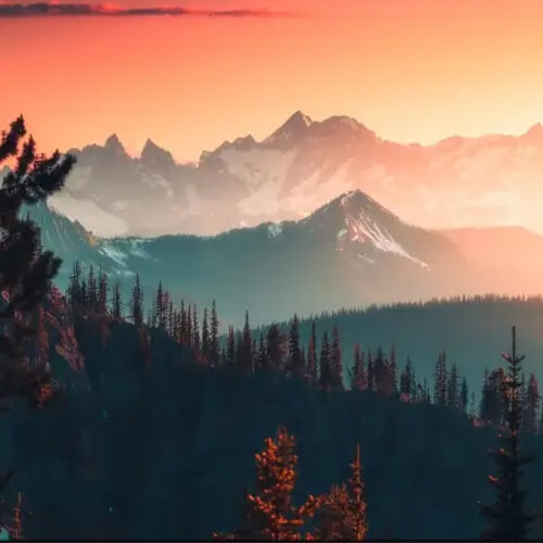 Nature