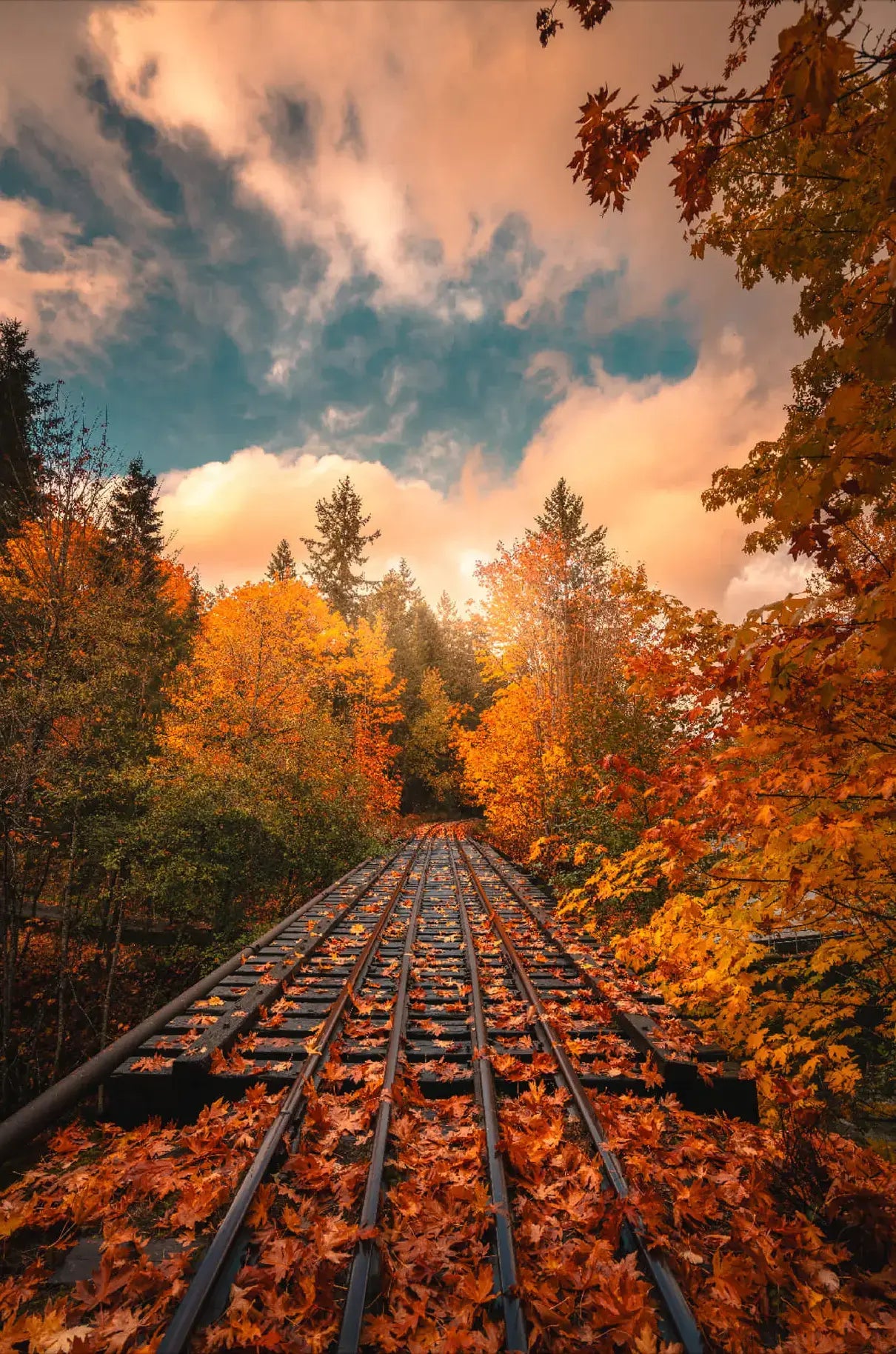The Autumn Express