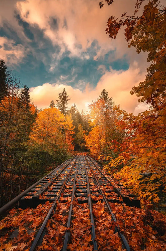 The Autumn Express