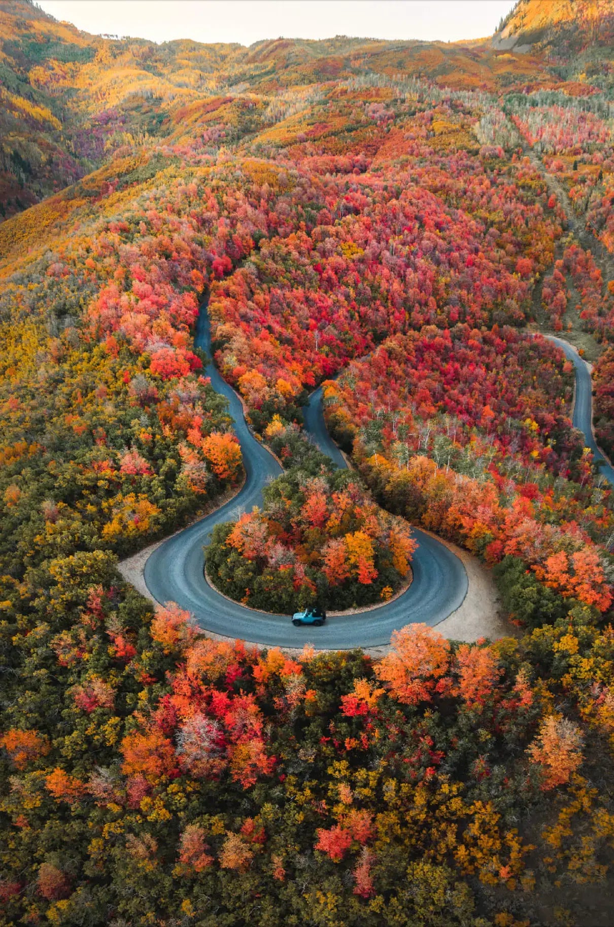 Autumn Road