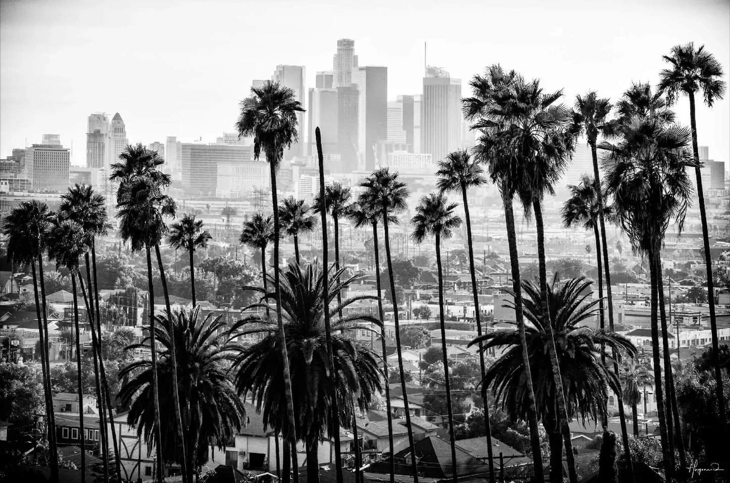 Los Angeles Skyline