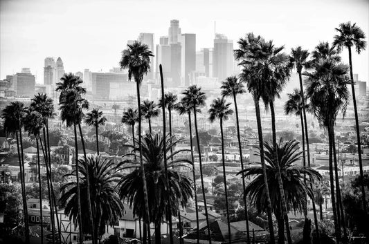 Los Angeles Skyline