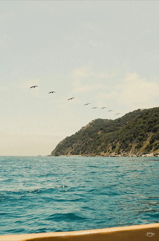 Catalina Island