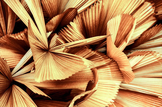 Copper Palm Leaves