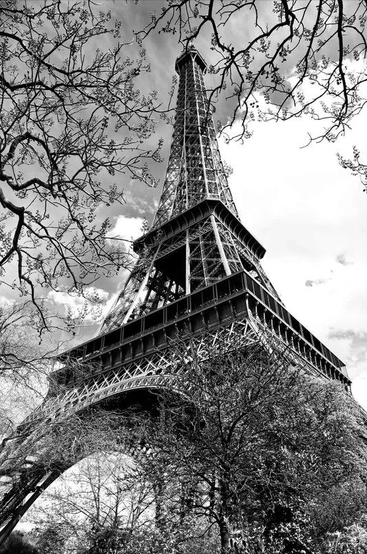 Eiffel Tower Paris