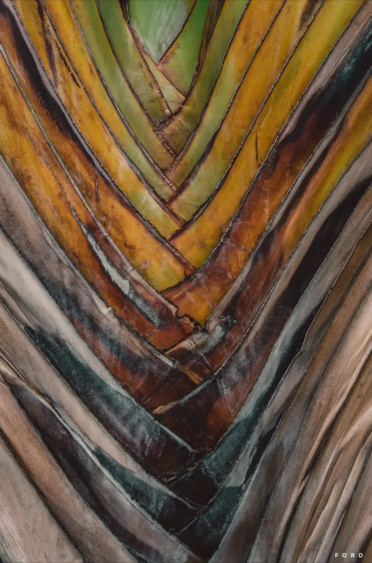 Layers of Life