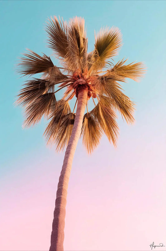 The Pastel Palm