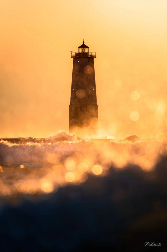 Frankfort Shimmer