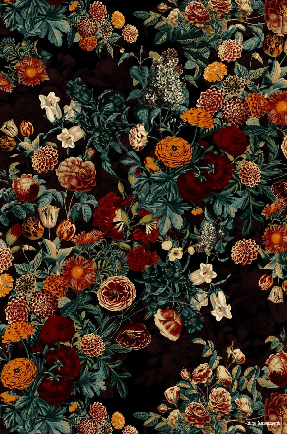 Exotic Garden Night XXI