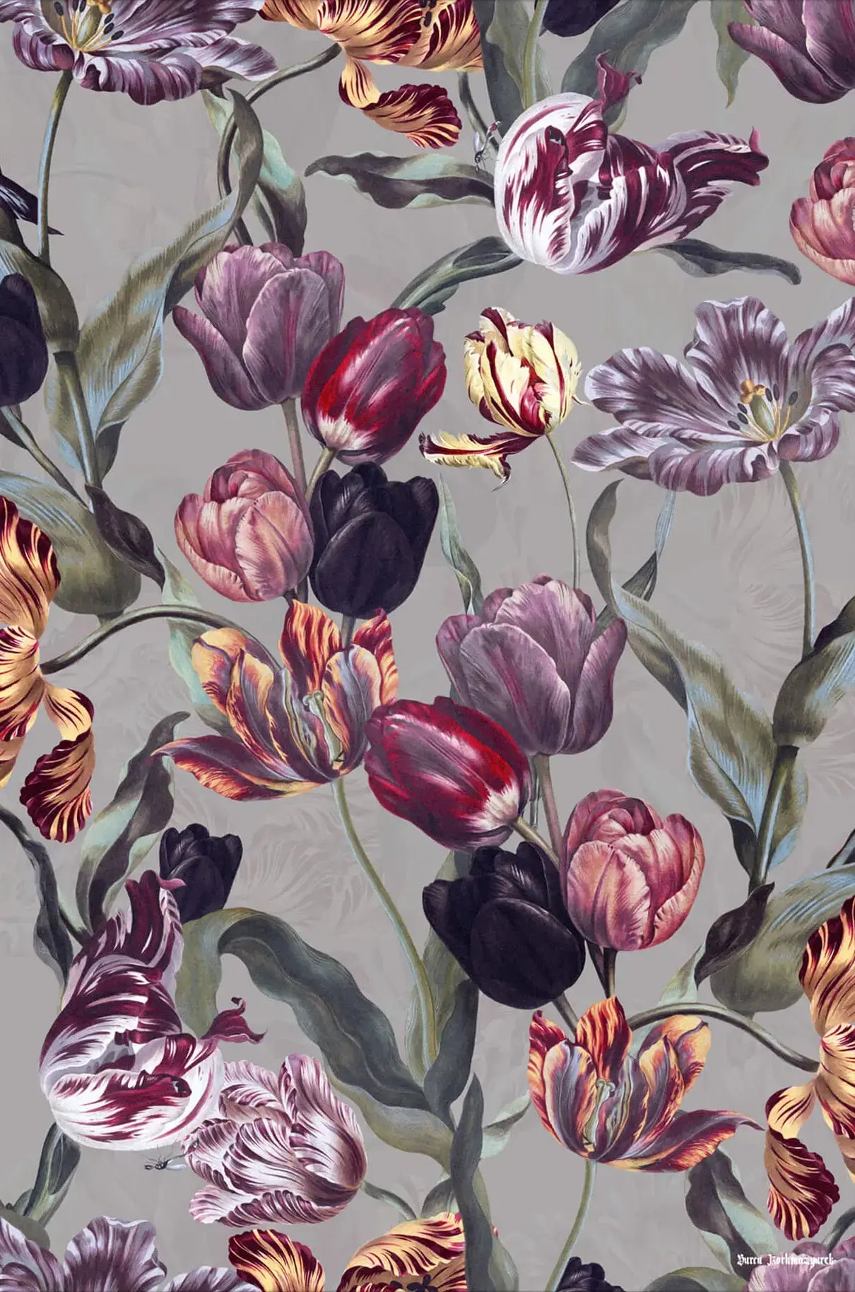 Magic Tulips Pattern