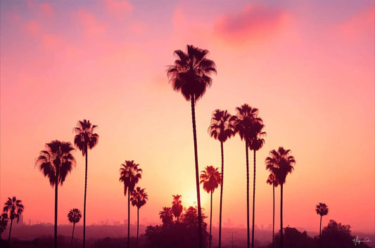 Los Angeles Lights