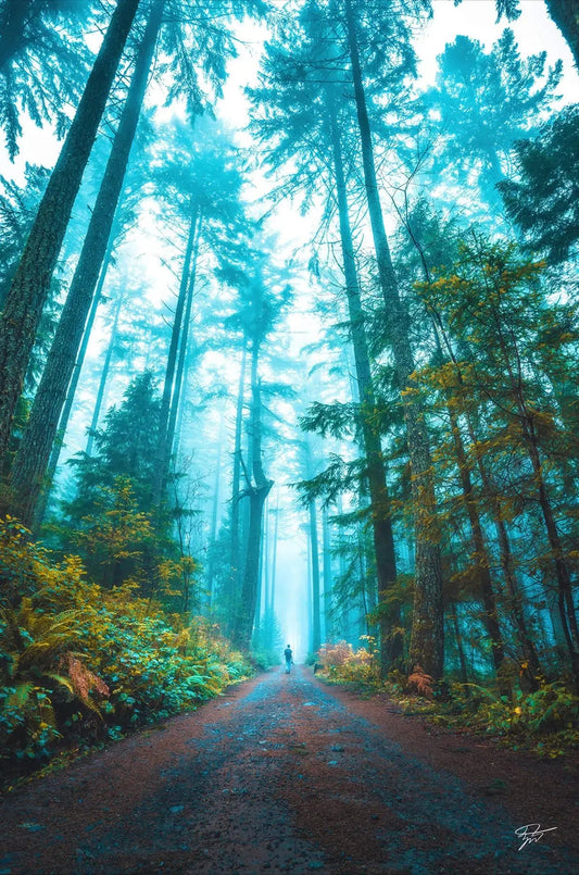 Surrounded By Giants