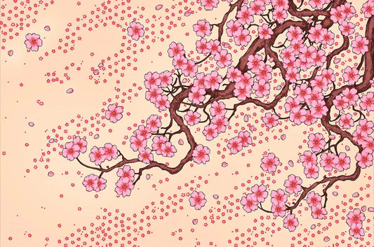 Sakura Spring
