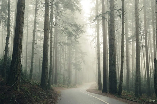 Pacific Northwest