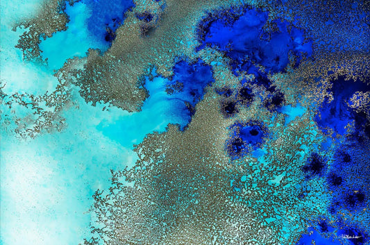Reef Resonance