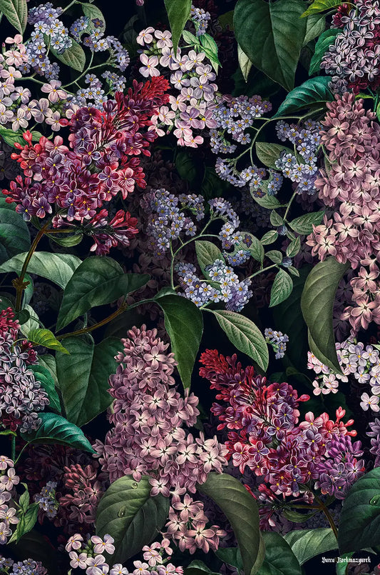 Lilac Garden
