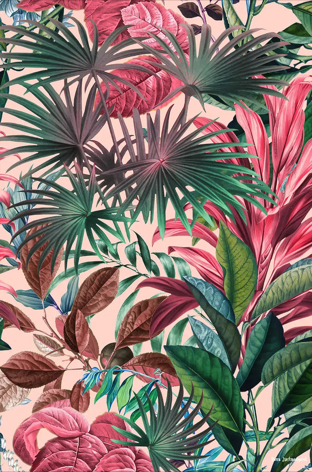Tropical Garden XV