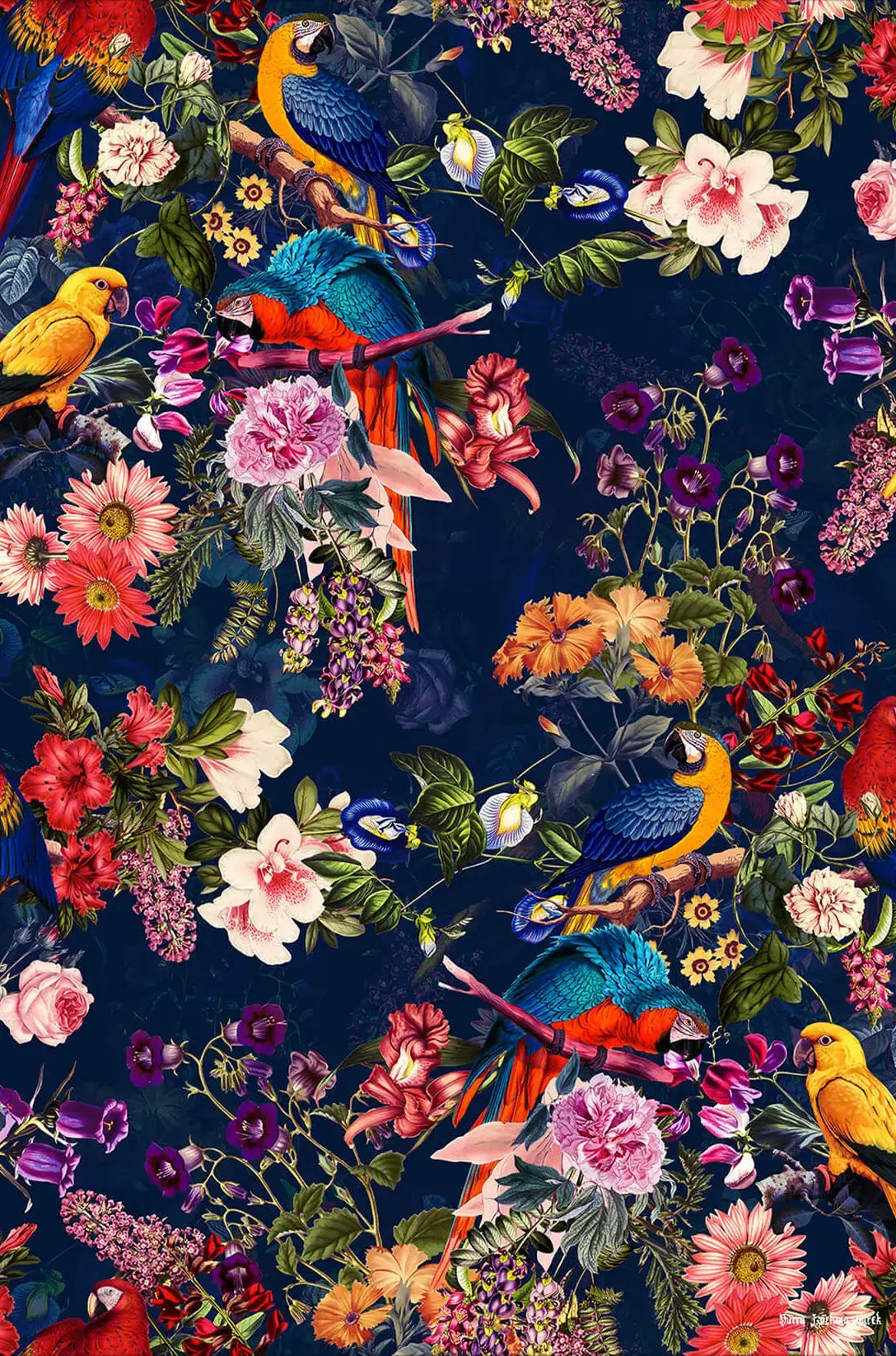 Floral and Birds XII