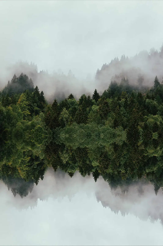 Mirror Mirror On The Water