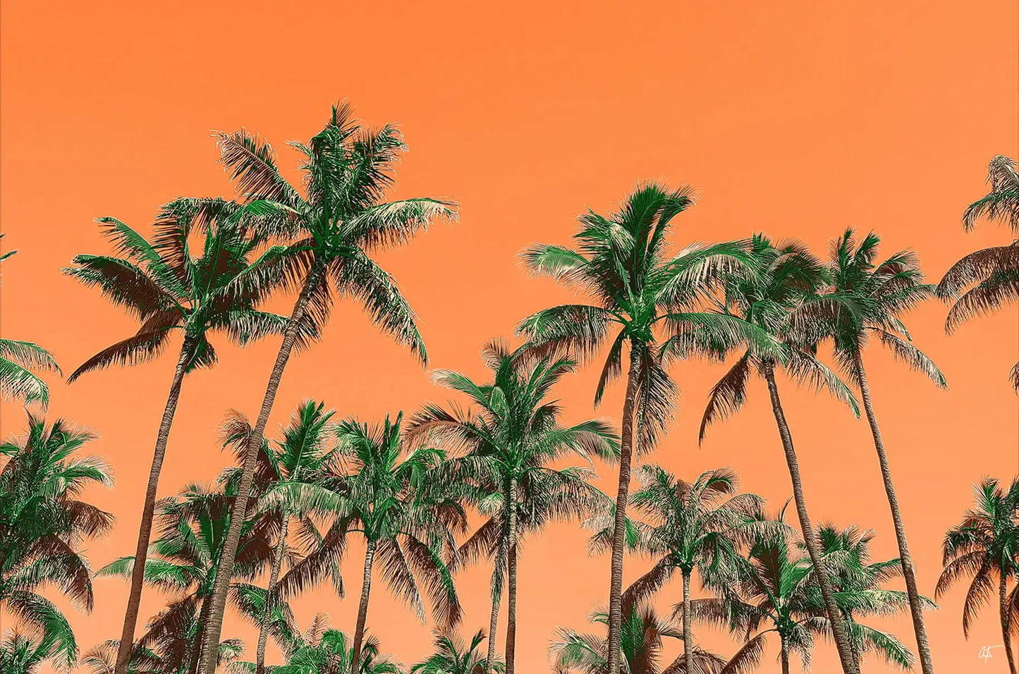 Idyllic