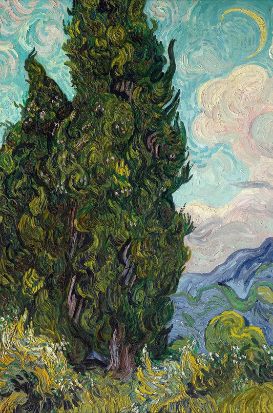 Cypresses