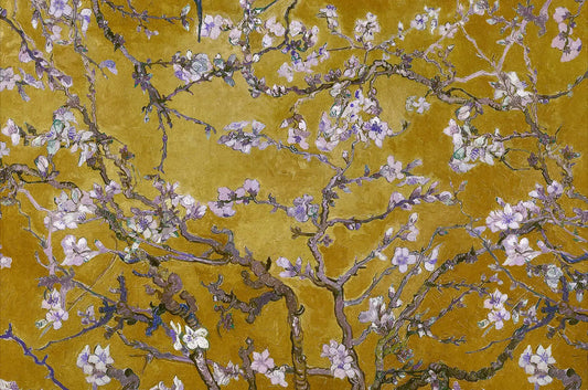 Almond Blossom
