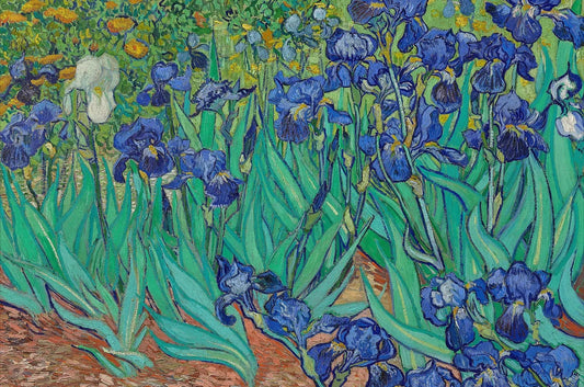 Field of Irises