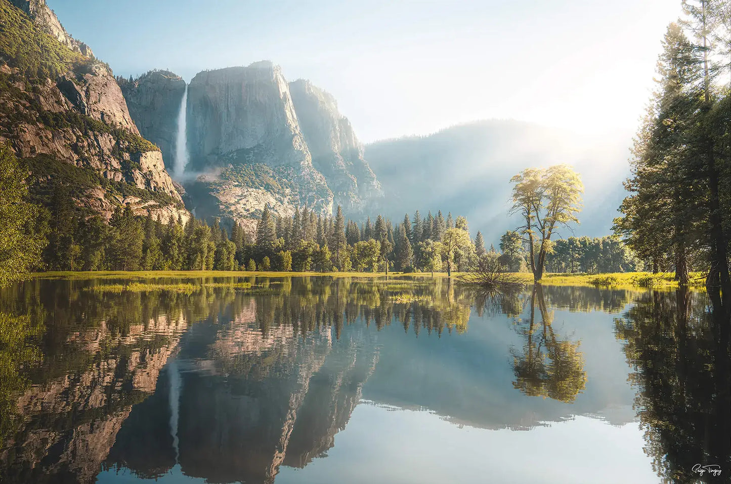 Yosemite Morning