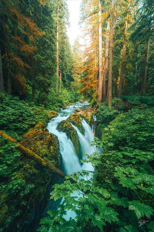 Prehistoric Falls