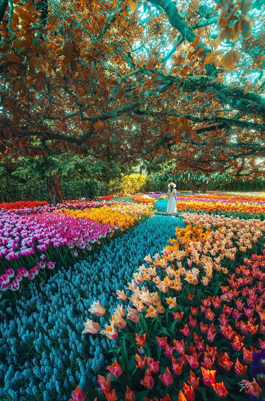 Lost in a Fairytale