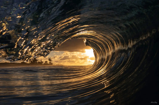 Early Riser
