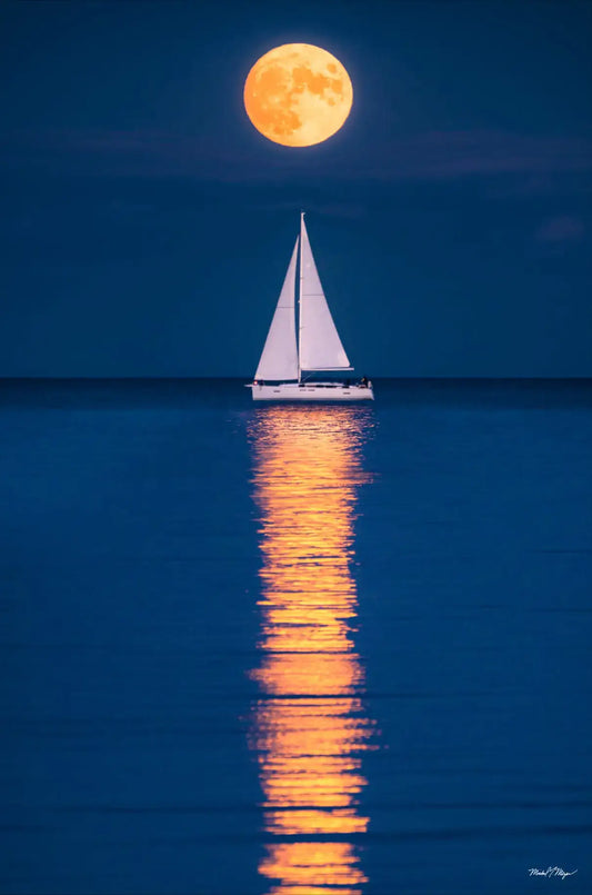 Navy Pier Reflections