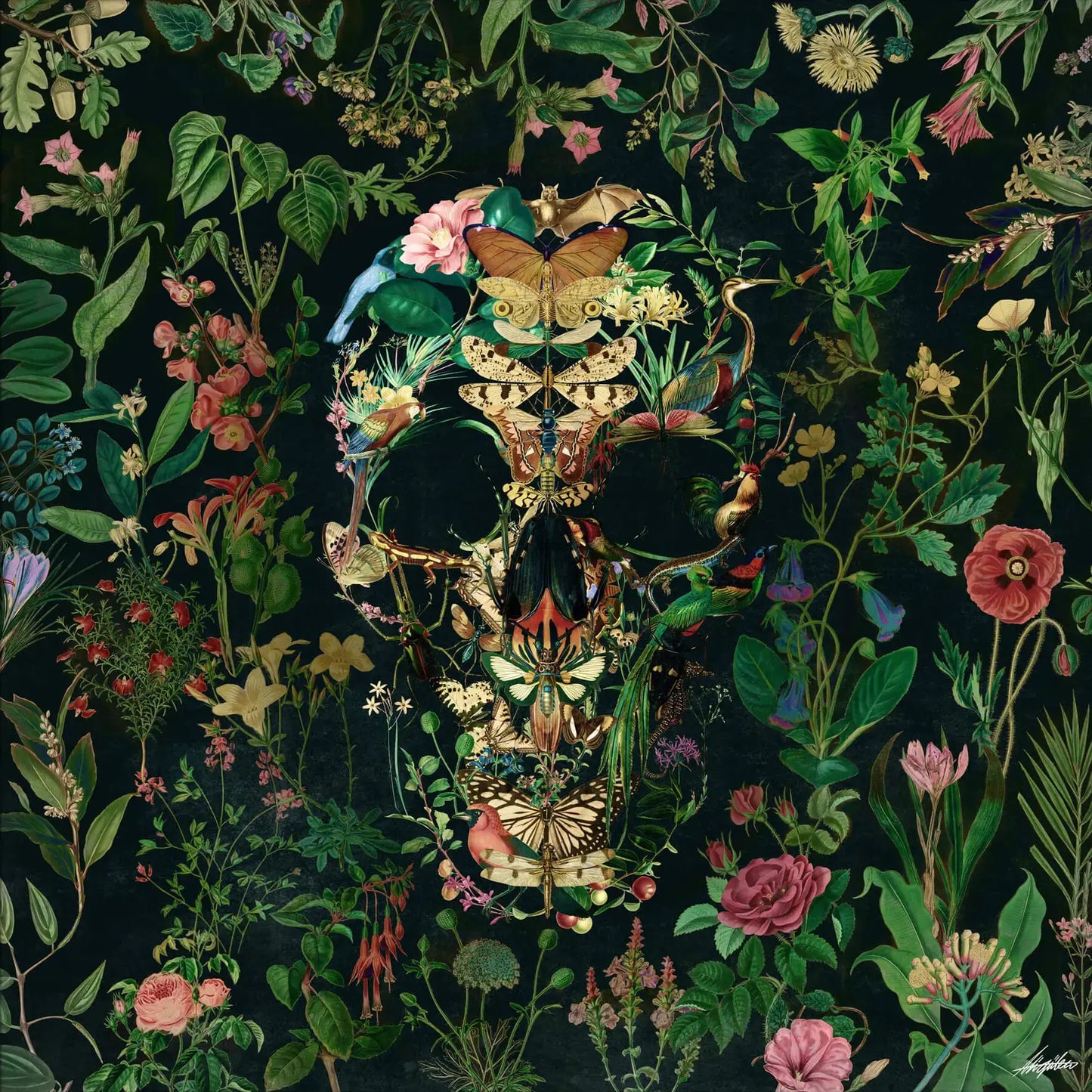 Papilion Skull
