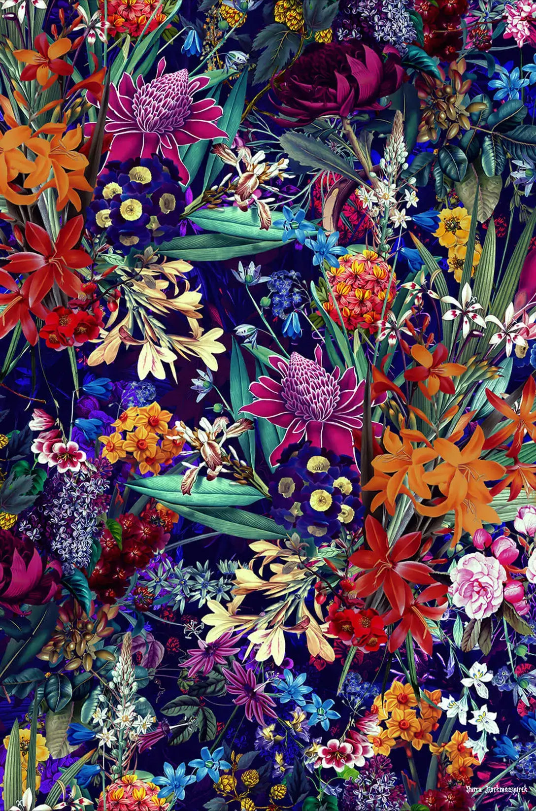 Future Nature XIII