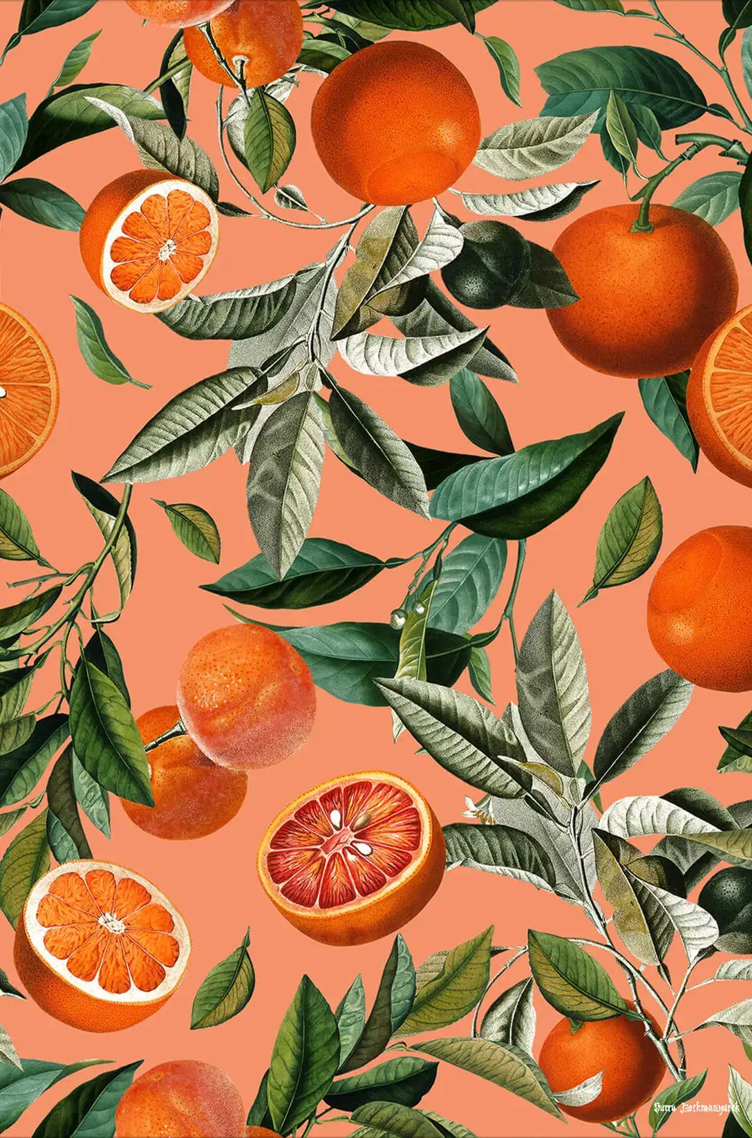 Vintage Fruit Pattern