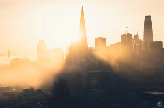 Morning Rays
