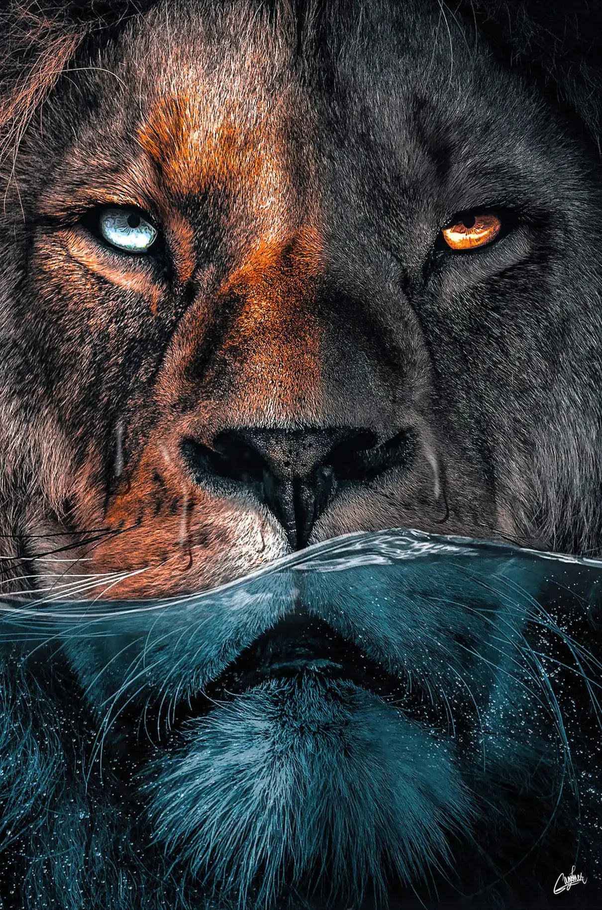 Underwater Lion