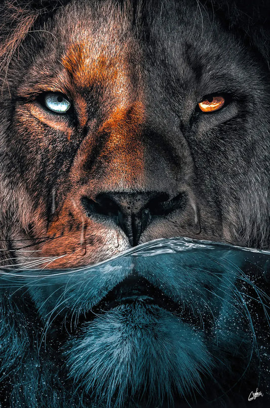 Underwater Lion