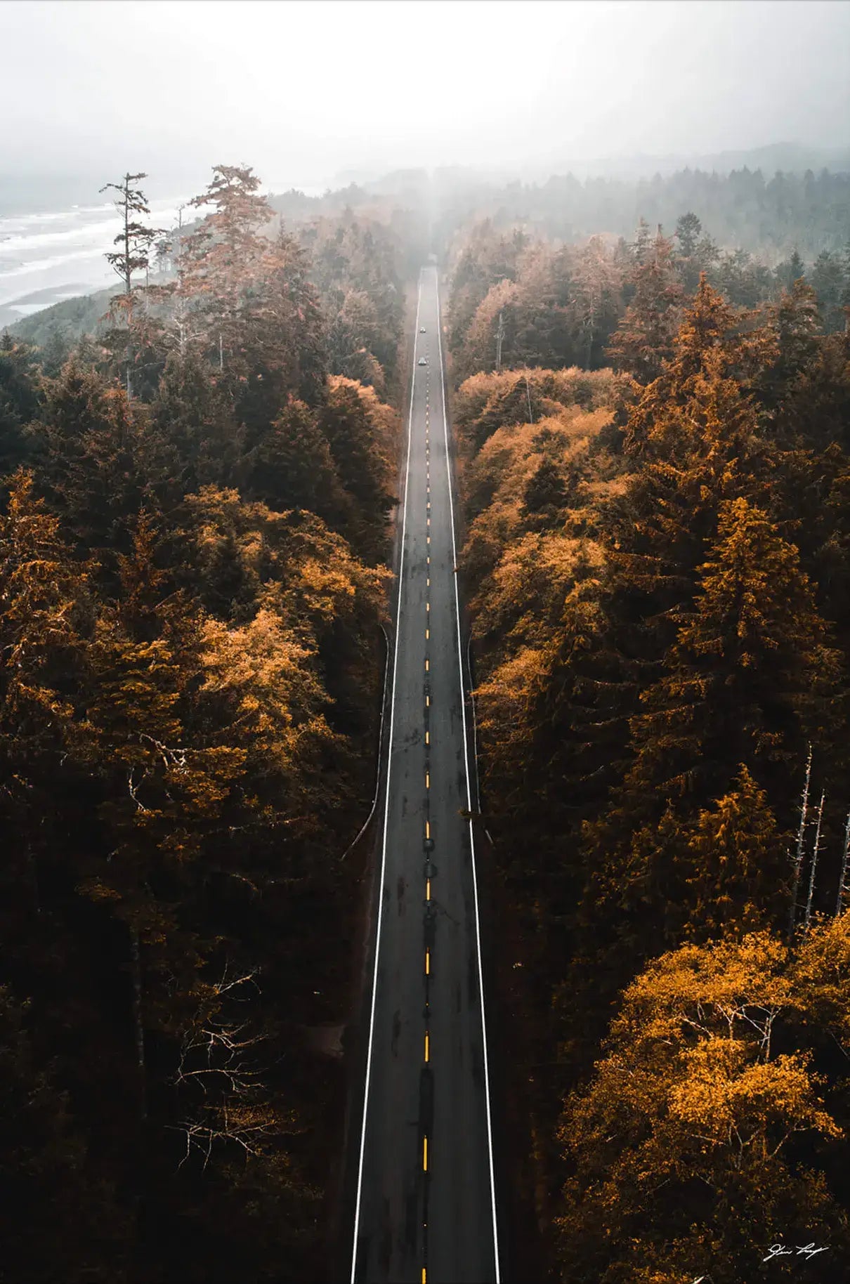 Aerial Trails