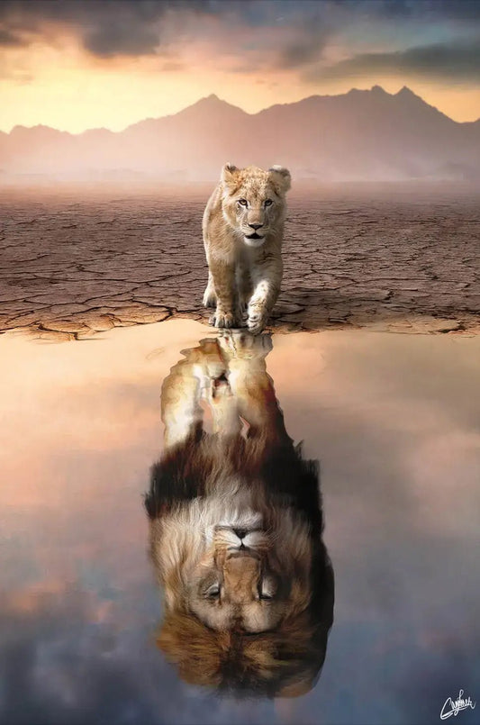 Lion Reflection