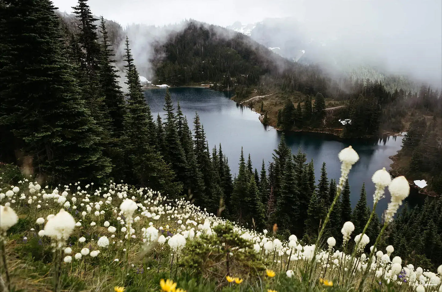 Wildflower Overlook