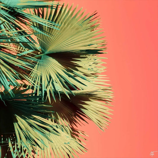 Growth v3