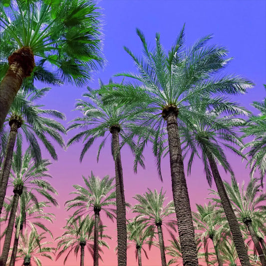 Desert Sun