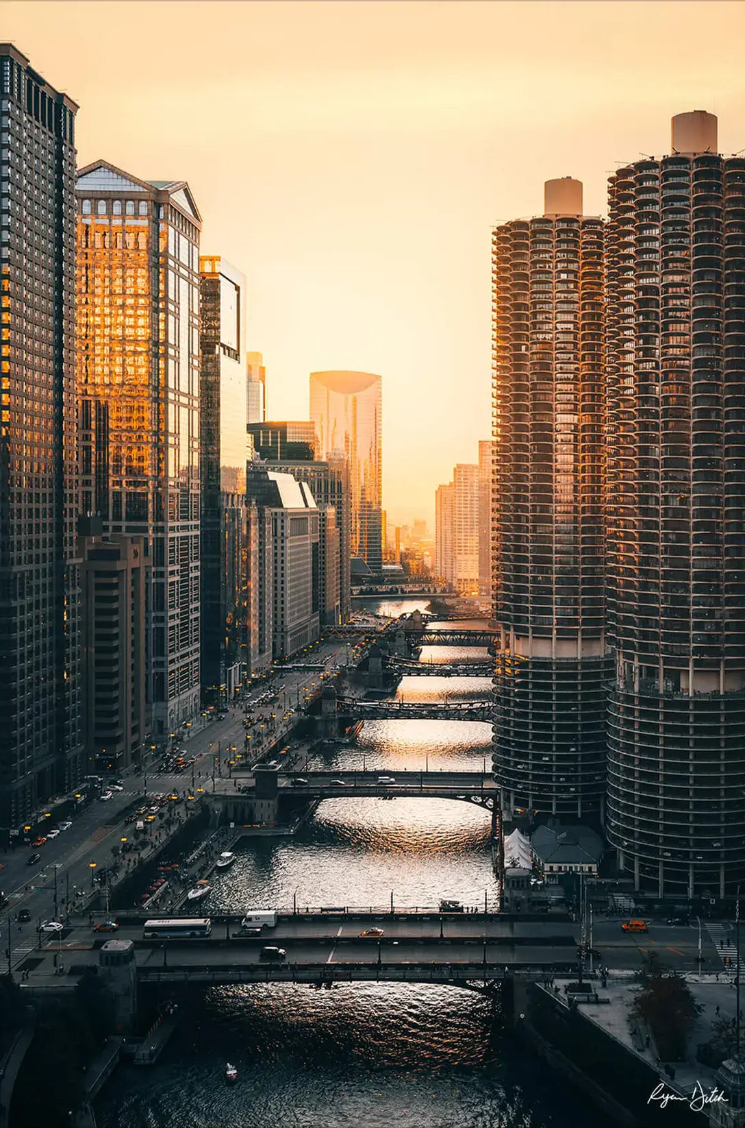 Chicago Views