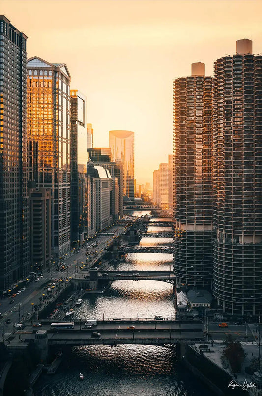 Chicago Views